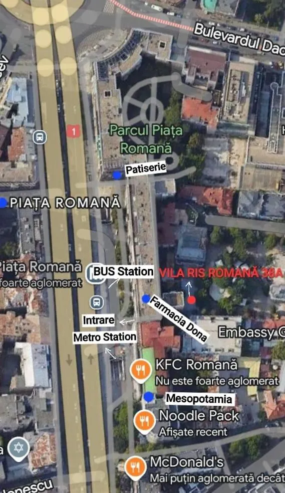 Vila Ris Piata Romana 부쿠레슈티 게스트하우스